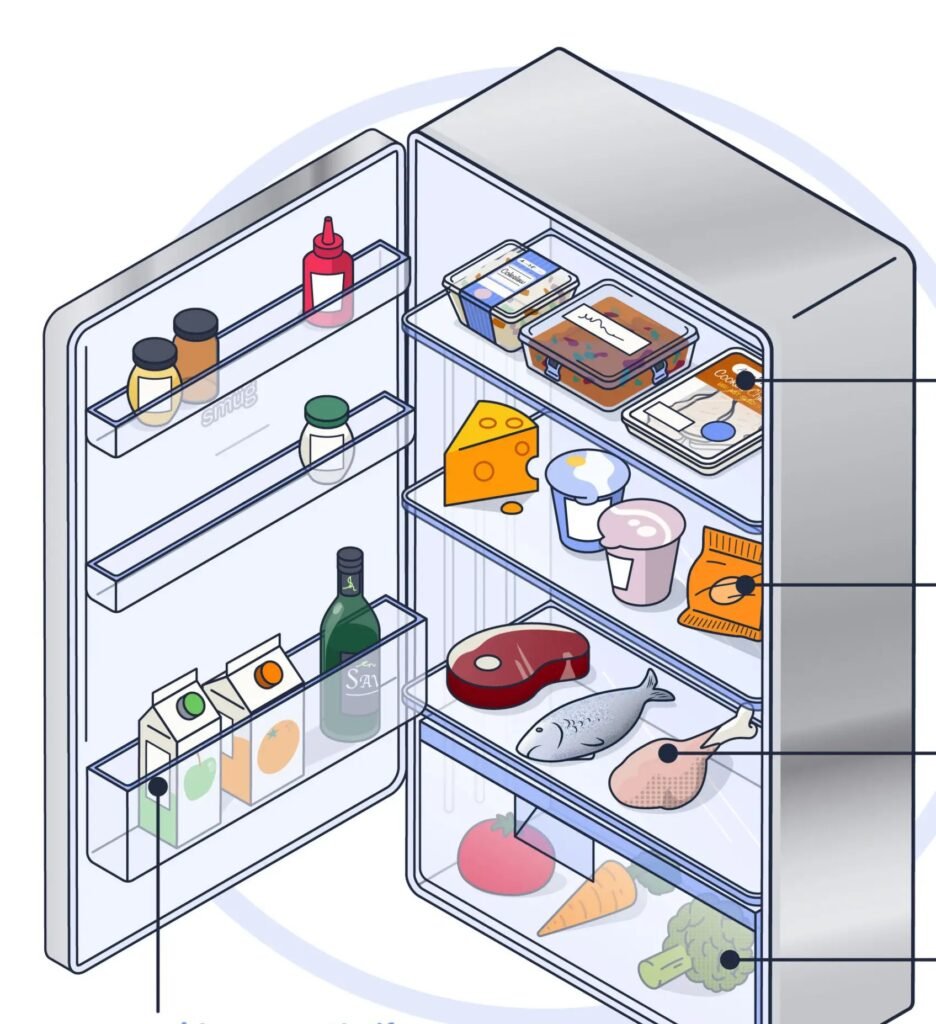 HST_FridgeShelvesFoodStorage_02_01-scaled
