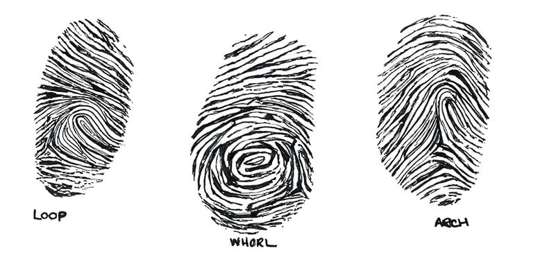 fingerprint-patterns