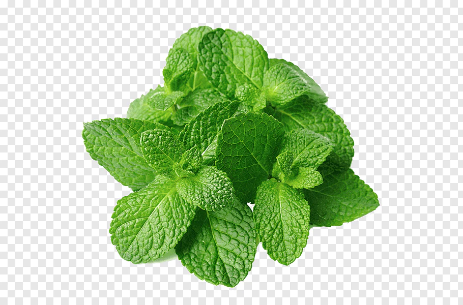 mint-fresh_1024x